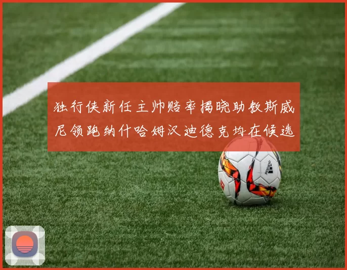 独行侠新任主帅赔率揭晓助教斯威尼领跑纳什哈姆汉迪德克均在候选之中