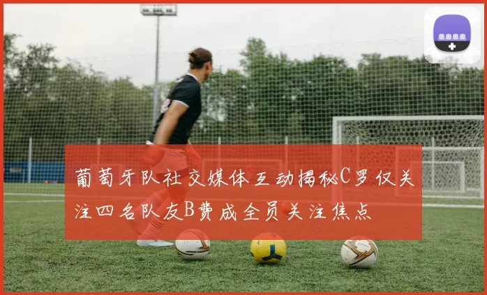 葡萄牙队社交媒体互动揭秘C罗仅关注四名队友B费成全员关注焦点